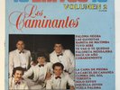 Los Caminantes - 15 Exitos Vol. 2 (1 x LP, Vinyl, Compilación, 1986 MX, VG)