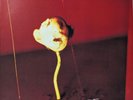 JULEE CRUISE The Voice of Love limited edition 2LP Red Vinyl