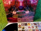BLUE MOUNTAIN EAGLE s/t 1970 1st press Atco SHRINK +INNER COMPLETE country psych