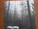 The Cure – A Forest 12