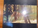 Childish Gambino - Camp [New Vinyl LP] Black, 180 Gram - Excellent Condition