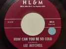 Lee Mitchell 