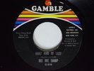 Northern Soul 45 DEE DEE SHARP What Kind Of Lady GAMBLE VG+ HEAR