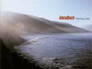 Incubus – Morning View - 2 x LP Vinyl Records 12