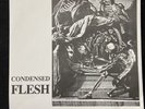 Void- “Condensed Flesh” EP Eye 95 Records Punk Hardcore Red Vinyl 1992