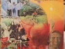READ J.K. & CO. LP - Suddenly One Summer White Whale OG Rare Psych Acid Archives