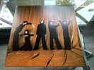 Blossoms - Gary Vinyl LP (Blood Records Orange Liquid Filled)