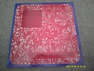 PSYCHEDELIC UNKNOWNS Various Artists 1979   CALICO RECORDS  near mint