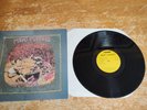 Meat Puppets - 1982 - Self-Titled Debut - 1982 - SST 009