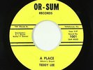 Garage 45 - Teddy Lee - A Place - Or-Sum - VG+ obscure