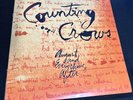 Counting Crows AUGUST and EVERYTHING AFTER Audiophile 180g Vinyl 2016 NEW SEALED