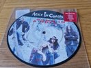 Alice In Chains Down In A Hole 7