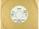 Garage Blues 45 - Jimmy Rabbit - Wishy-Washy Woman - Josie VG++