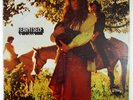 FEAR ITSELF Fear Itself LP 1969 BLUES ROCK/PSYCH VG+ VGH/VG+ READ DESCRIPTION.