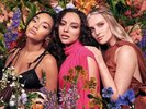 Little Mix - Between Us 12