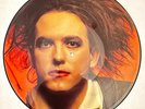 THE CURE Vinyl Picture Disc 