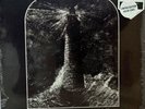 The Lighthouse (Original Soundtrack) LP Sacred Bones,2019  Colored Vinyl
