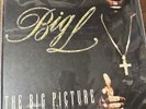 Big L Picture Record