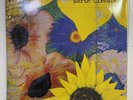 The Bevis Frond - North Circular - 3 x 12