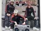 Beastie Boys Solid Gold Hits Vinyl record  (Record, 2005)