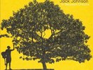 Jack Johnson In Between Dreams Records & LPs New