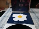 NEW FAST AUTOMATIC DAFFODILS - PIGEONHOLE. Vinyl. A1/B1 First.  EX/EX.