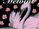 Melvins Stoner Witch Records & LPs New