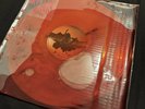 Maneskin Rush  Vinyl, Liquid Blood Sleeve, Blood Records, Ltd Ed - Unplayed