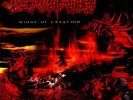 Decapitated - Winds Of Creation Black Vinyl Edition (2024 - Original)