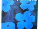 ANDY WARHOL ART COVER BLUE FLOWERS LP VINYL RECORD ORIGINAL PRESSING VERY RARE