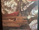 The Backseat Lovers Waiting To Spill Red Ruby Color Vinyl Record *SIGNED* - NEW