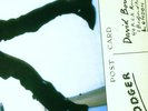 David Bowie |  Vinyl LP | Lodger (2017 Remaster) | Parlophone