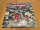 DJ Pippi & Willie Graff : Universal Language - 2xLP 2024 Sealed Small Crease