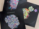 Echo And The Bunnymen - Meteorites Vinyl  2LP + CD