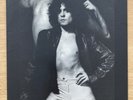 Marc Bolan T.Rex Celebrate Summer UK Demo Promo 1977