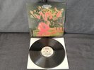 LP INSTANT FUNK st I Got My Mind Made Up 1st Print US 79 1st Press Salsoul EX