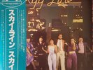 FUNK LP Skyy – Skyy Line Salsoul Records – RPL-8120 JAPAN