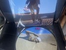LP Picture Disc - Pink Floyd - Wish You Were Here Live - Vinyl Neuf