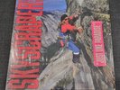 David Lee Roth Skyscraper LP Record Van Halen