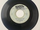 Rip-Chords DOO WOP 45 I Love You The Most / Let’s Do The Razzle ABCO VG+++ HEAR