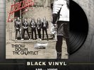 AMETHYST- Throw Down The Gauntlet LIM.180g BLACK VINYL swiss metal newcomers