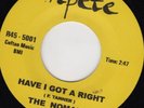 The Nomads – Have I Got A Right /  Ellusions - You Didn't Have To Leave Soul EX