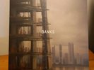 Banks by Paul Banks LP Vinyl 2012 Interpol