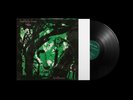 Buffalo Tom - Birdbrain (Vinyl LP - 1990 - UK - Reissue)