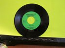 VHTF GARAGE 45 Len Samczyk Pepperhead 42177 Bad Boy / Rock Musician EX