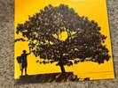 Jack Johnson - In between Dreams Vinyl 180 Gram 2005 Vinyl NM/NM