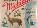 SUFJAN STEVENS – GREETINGS FROM MICHIGAN (THE GREAT LAKE STATE) - VINYL 2LP A16