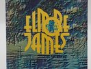 Elmore James Vol 2 To Know A Man 12