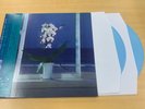 desert sand feels warm at night - 水に流す LP Cornflower Blue Vinyl Vaporwave