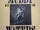 MUDDY WATERS King Bee LP BLUE SKY PZ 37064 rare blues Johnny Winter VG++